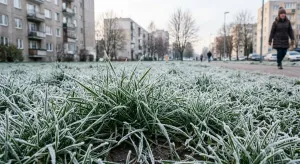 В Ивановскую область приходят ночные заморозки до -4 ℃